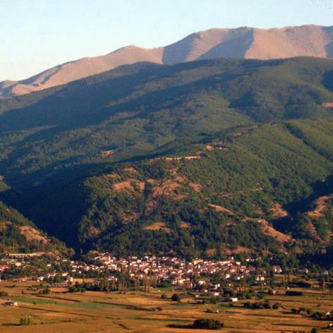Bίλα Καστανόδασος Aparthotel Εμπόριο Εξωτερικό φωτογραφία
